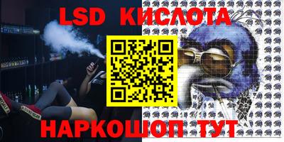 стаф Кулебаки