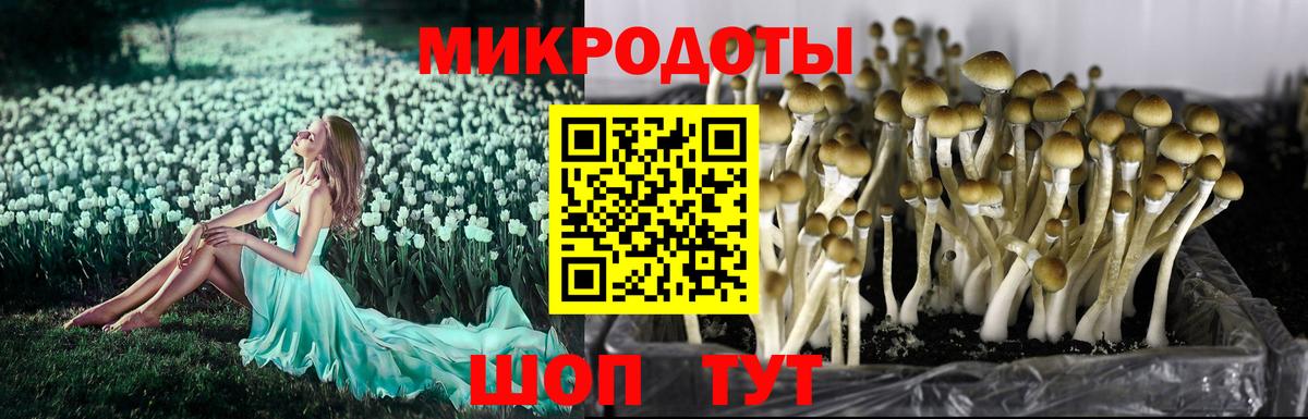 Псилоцибиновые грибы мухоморы Еманжелинск