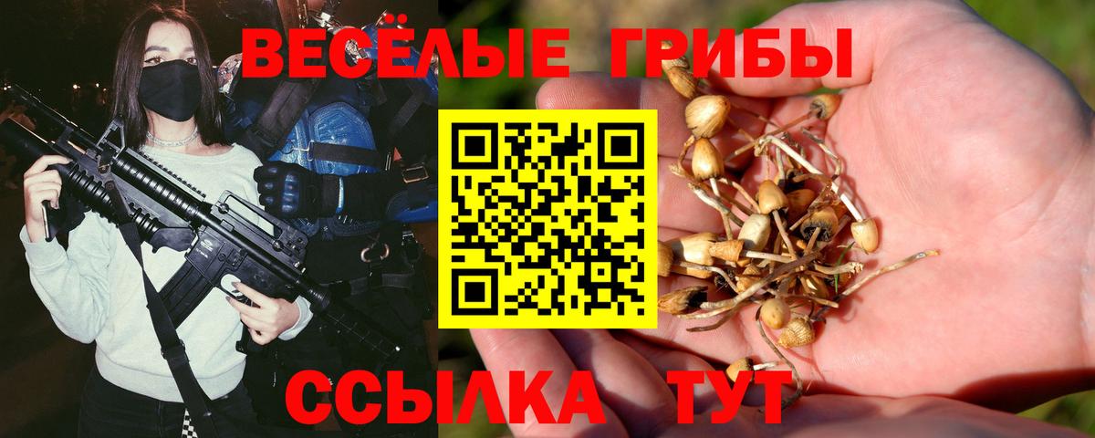 Псилоцибиновые грибы GOLDEN TEACHER  Вход с VPN  Еманжелинск 
